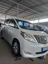 Toyota Alphard, 2009-7