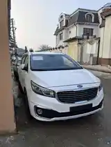 Kia Carnival, 2016-8