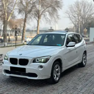 BMW X1, 2010