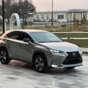 Lexus NX series, 2019