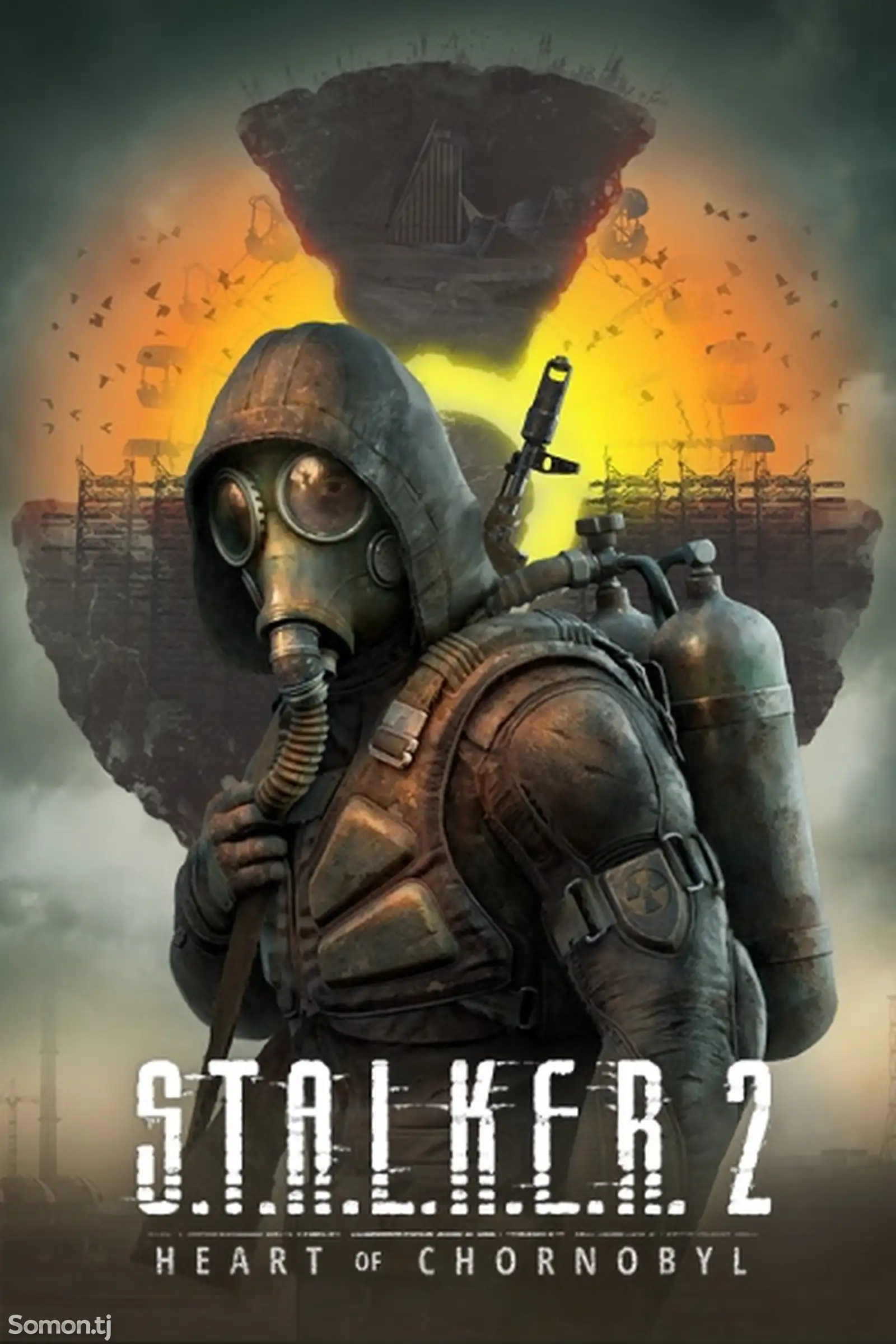 Игра Stalker 2-1