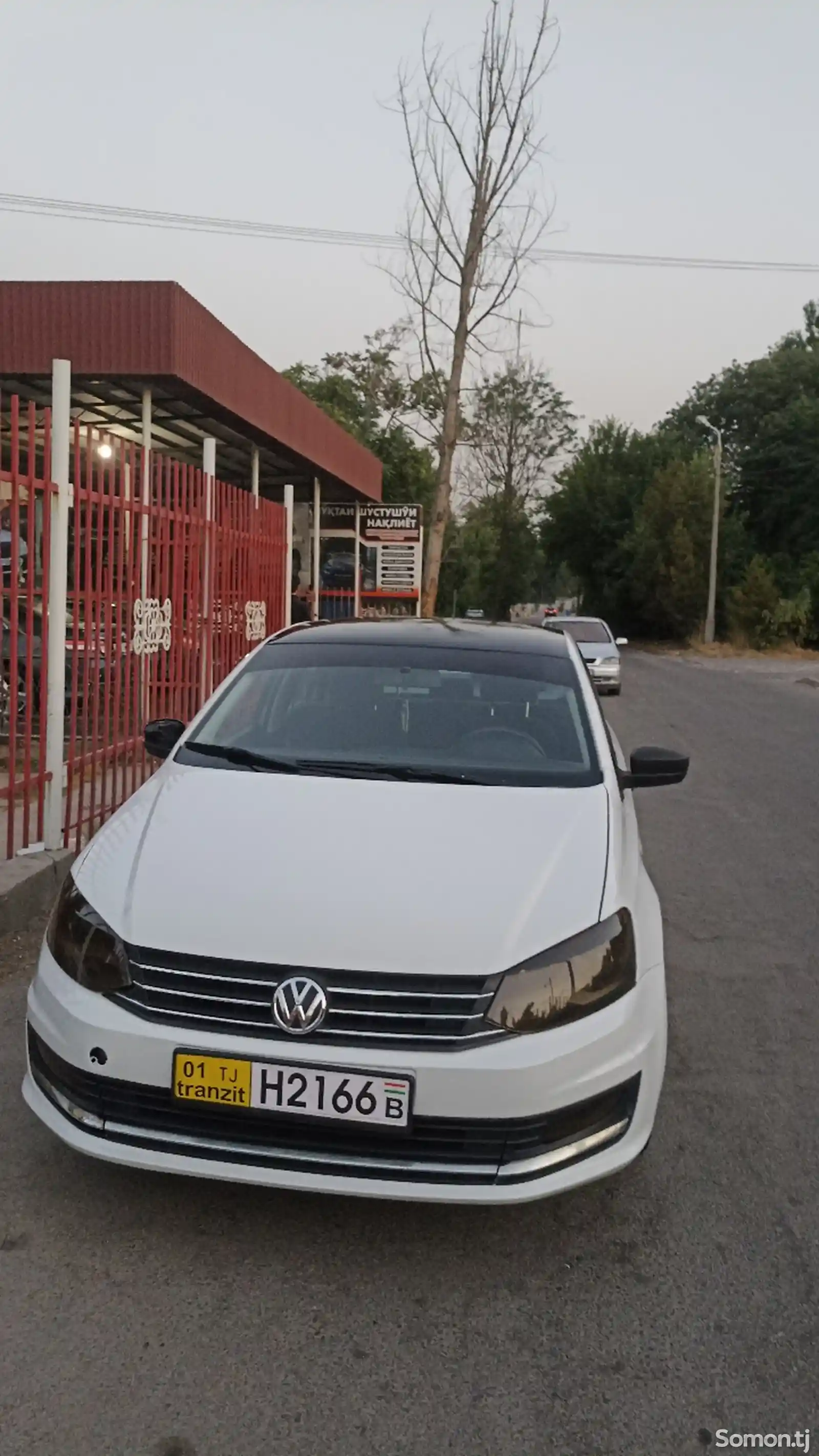 Volkswagen Polo, 2019-1