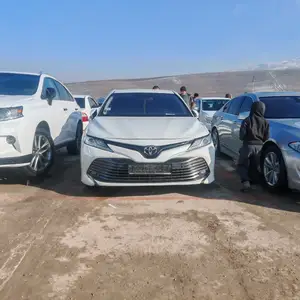 Toyota Camry, 2019