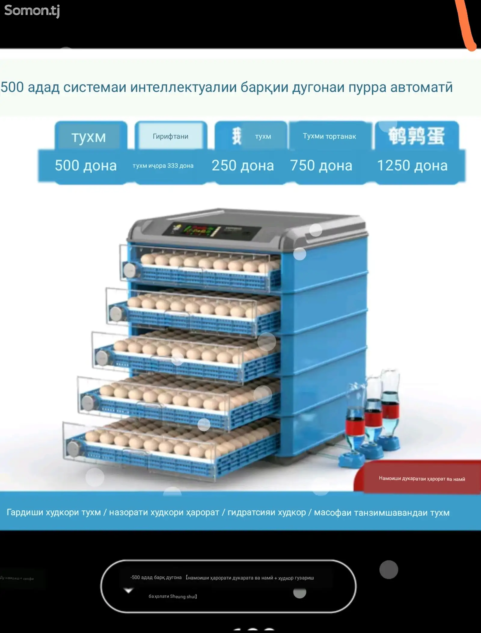 Инкубатор 500 донага