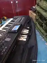 Синтезатор KORG Pa 3 x-2