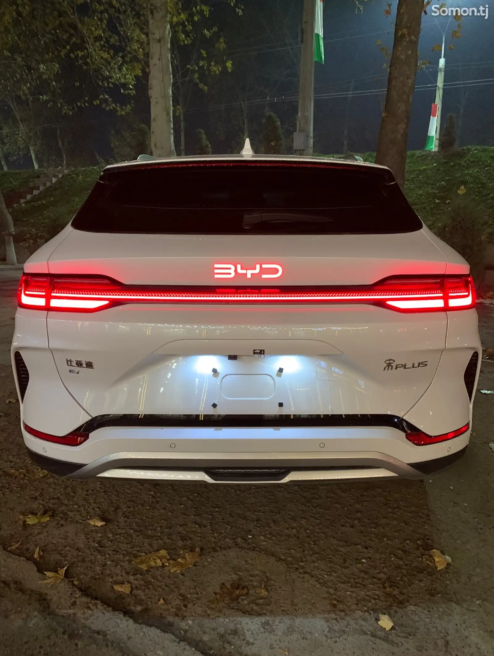 BYD Song Plus Flagship, 2024-1