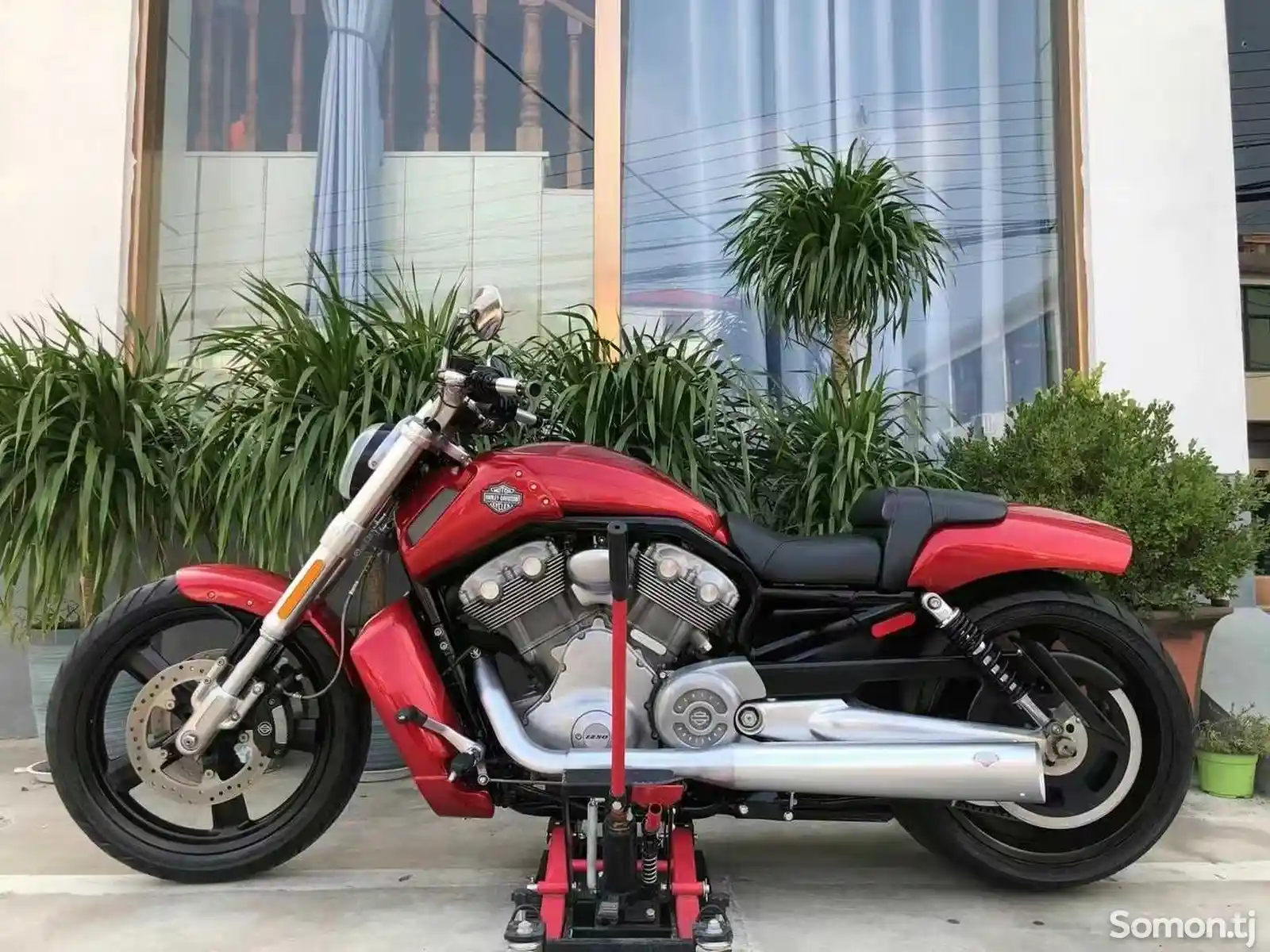 Мотоцикл Harley Wolverine 1250сс на заказ-4
