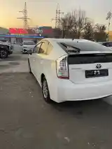 Toyota Prius, 2010-5