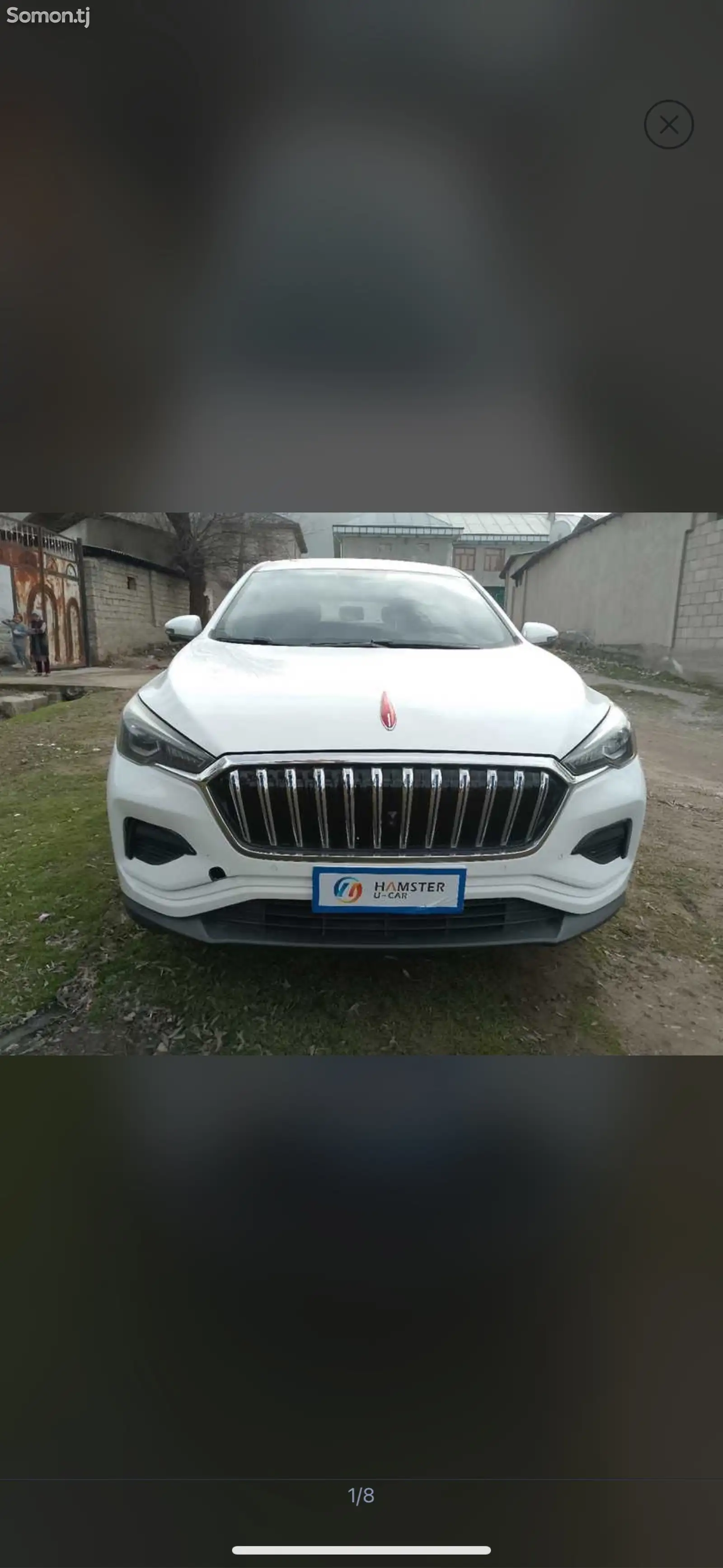 Hongqi E-HS9, 2019-1