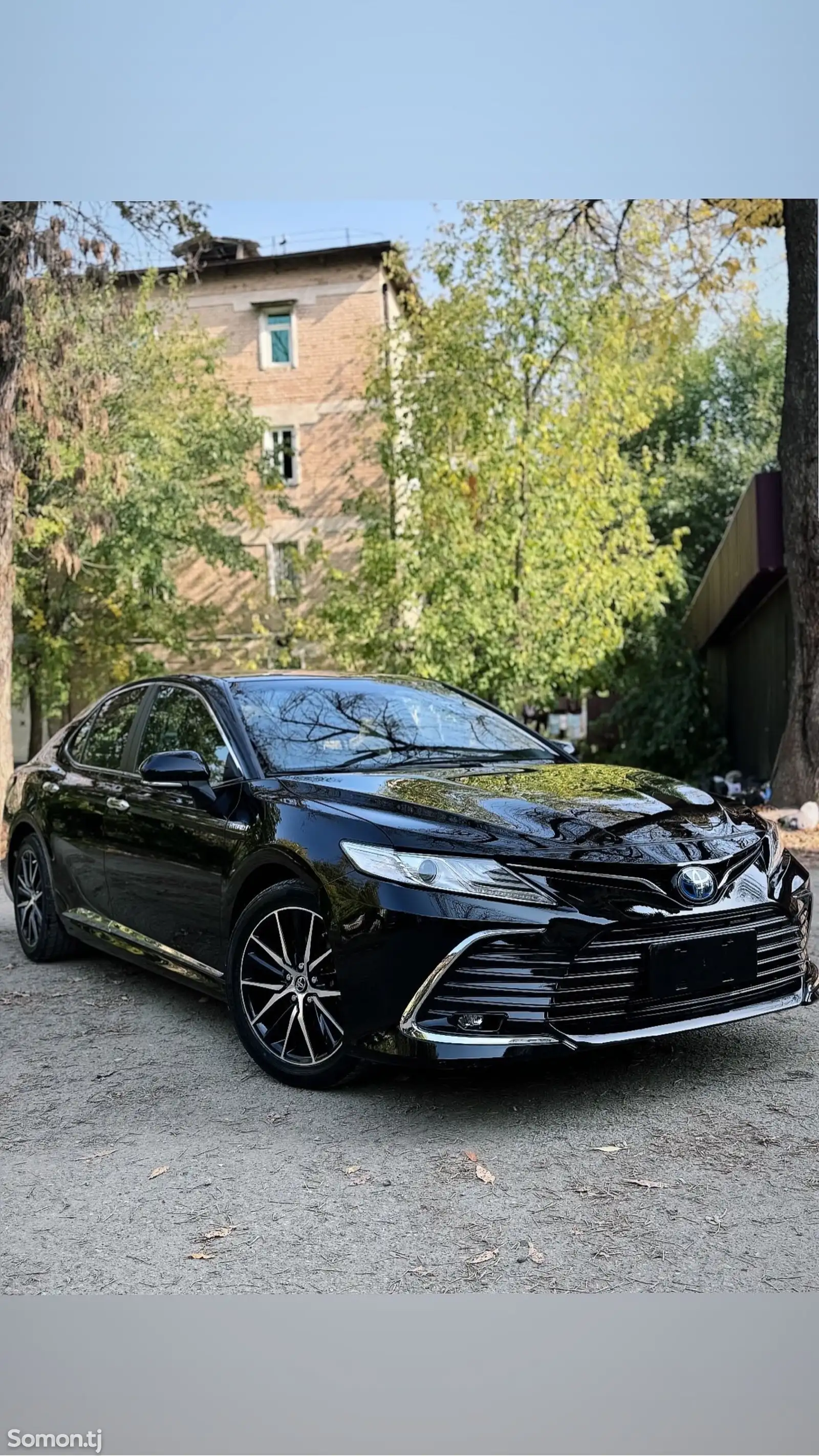 Toyota Camry, 2020-1