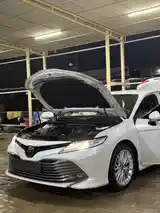 Toyota Camry, 2019-3