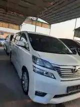 Toyota Vellfire, 2010-4