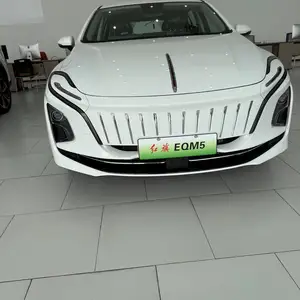 Hongqi E-QM5, 2024