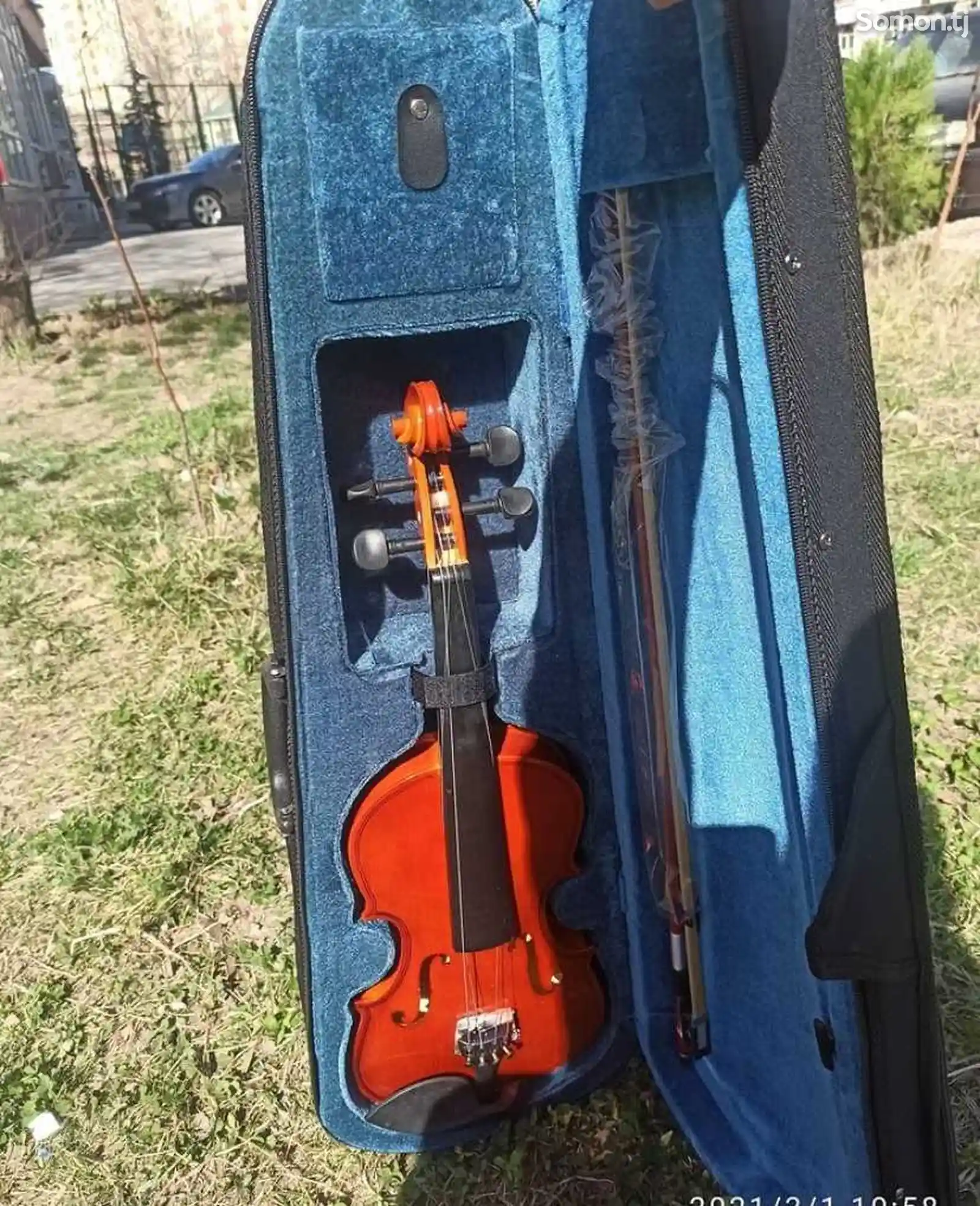 Скрипка-6