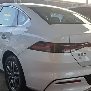 BYD, 2024