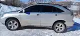 Lexus RX series, 2007-3