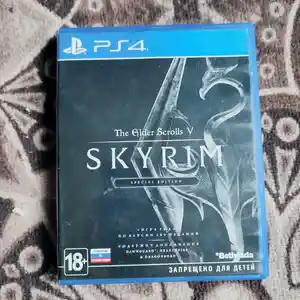 Игра Skyrim