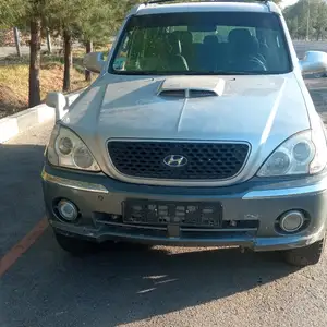 Hyundai Terracan, 2002