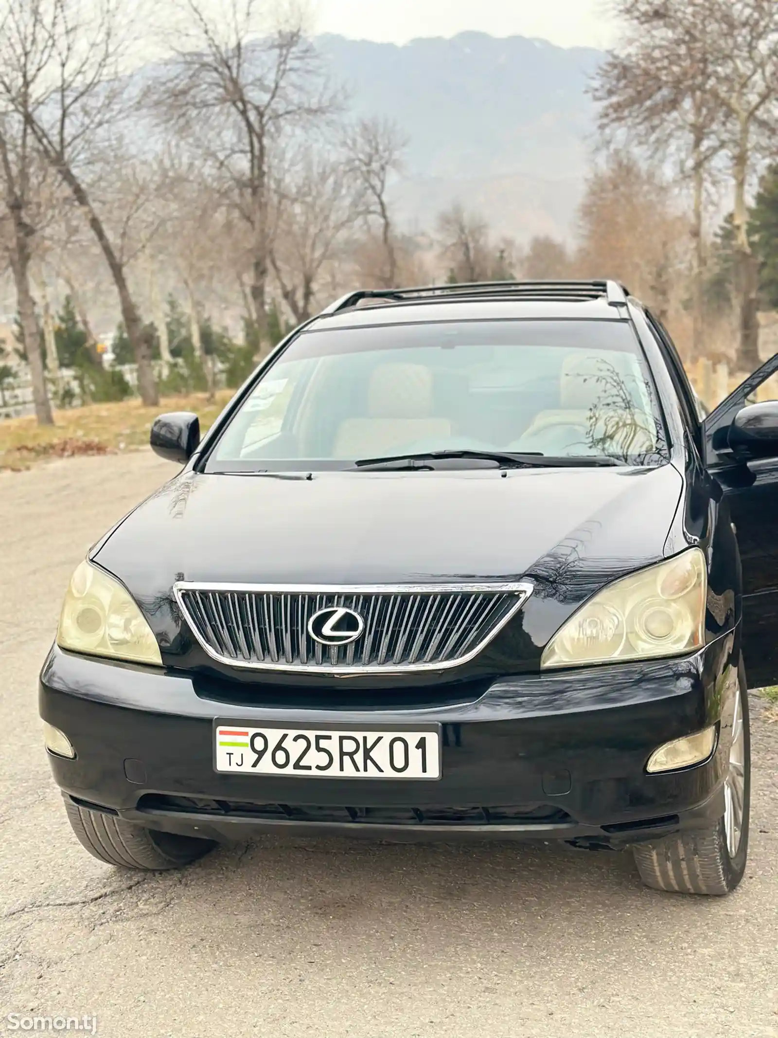 Lexus RX series, 2004-2