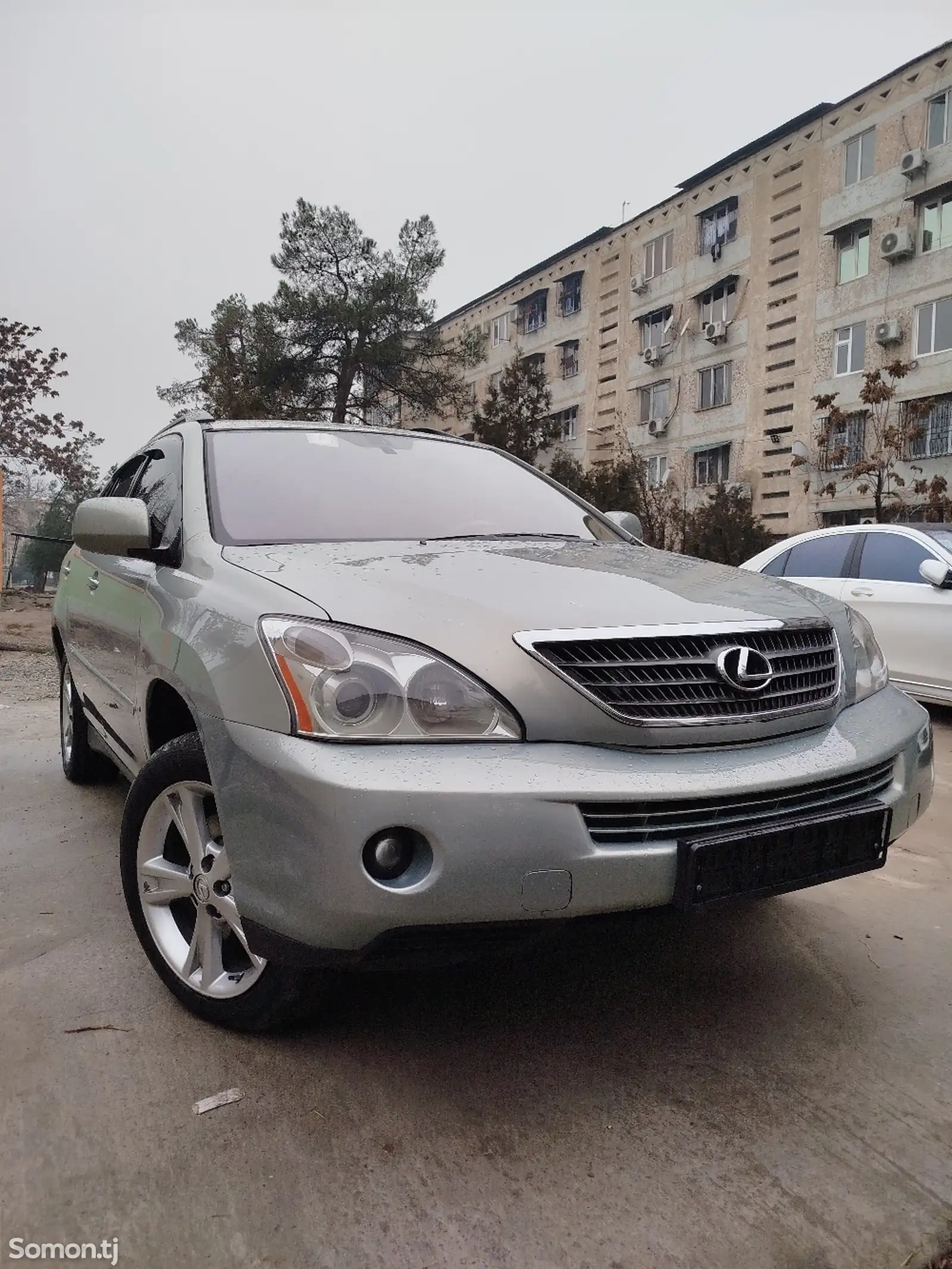 Lexus RX series, 2007-1