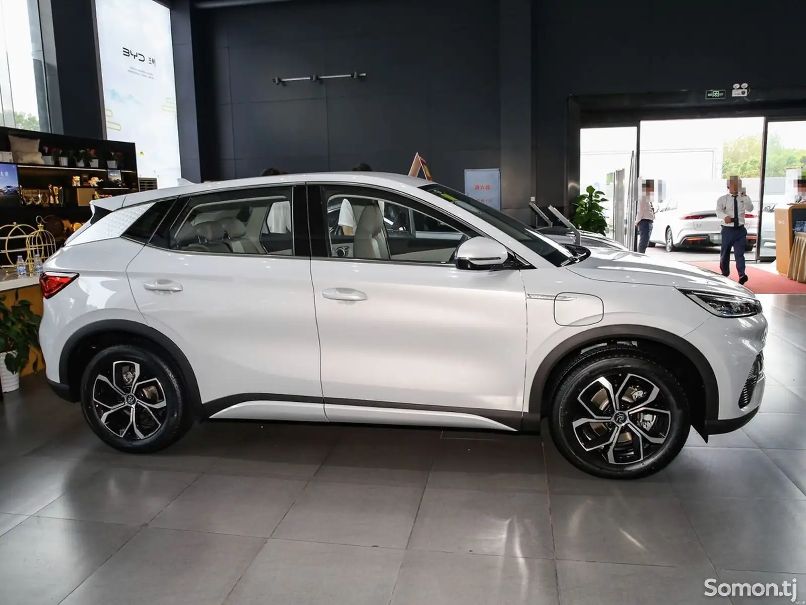 BYD Другие модели, 2024-1