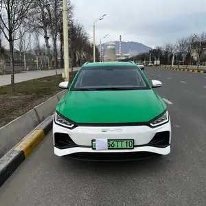 BYD E2, 2024