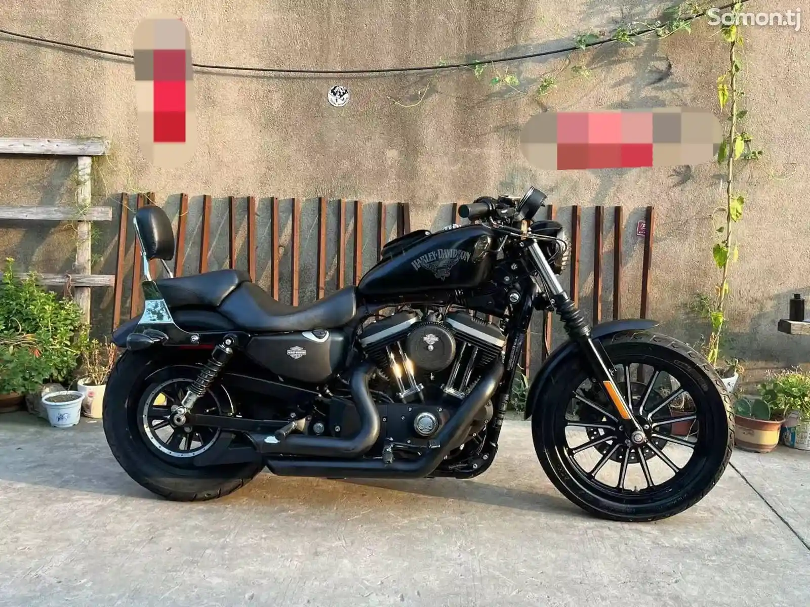 Мотоцикл Harley Davidson Sportster 883N на заказ-3