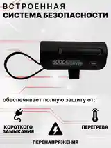 Внешний аккумулятор Power Bank-8