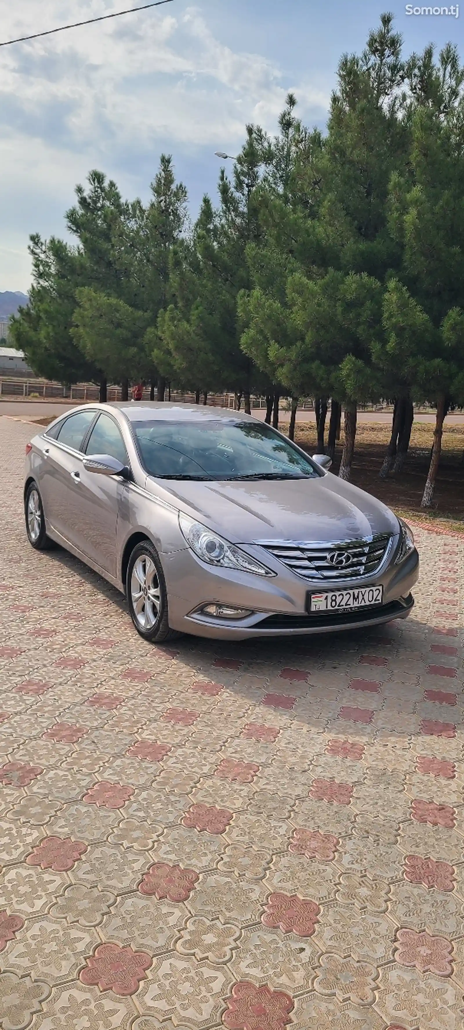 Hyundai Sonata, 2010-3