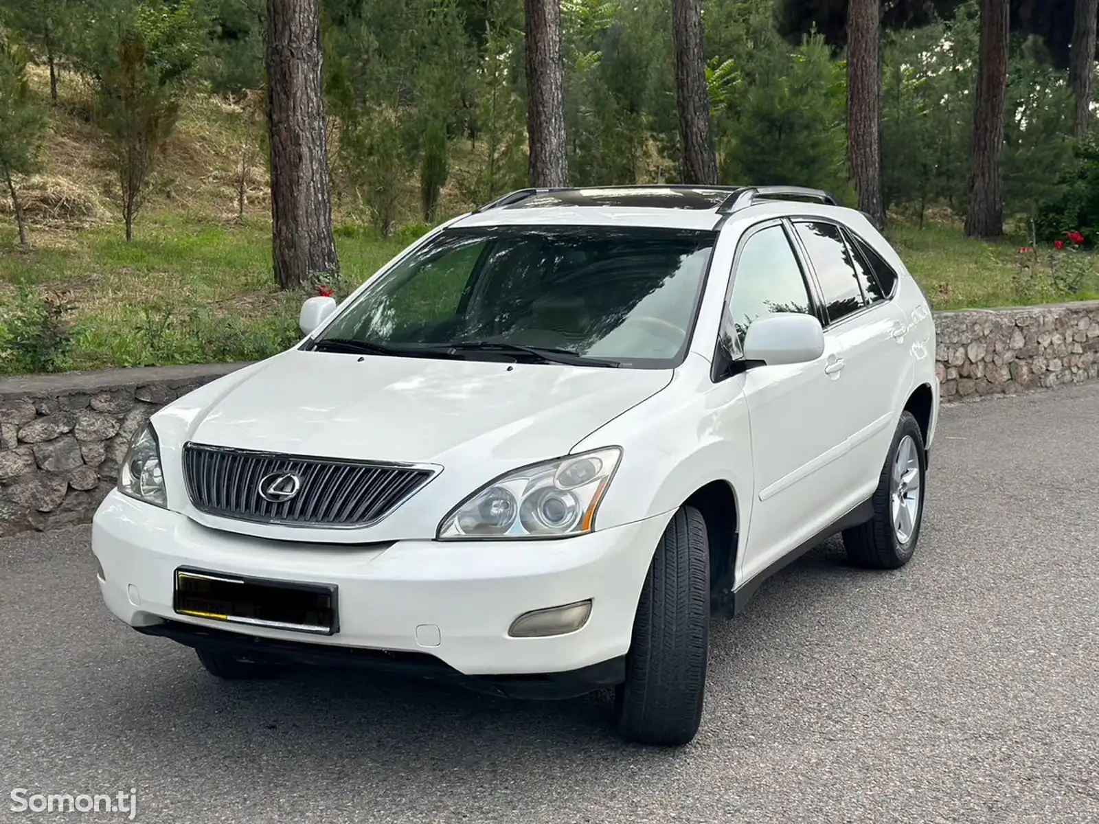 Lexus RX series, 2007-1