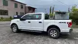 Ford F 150, 2017-6