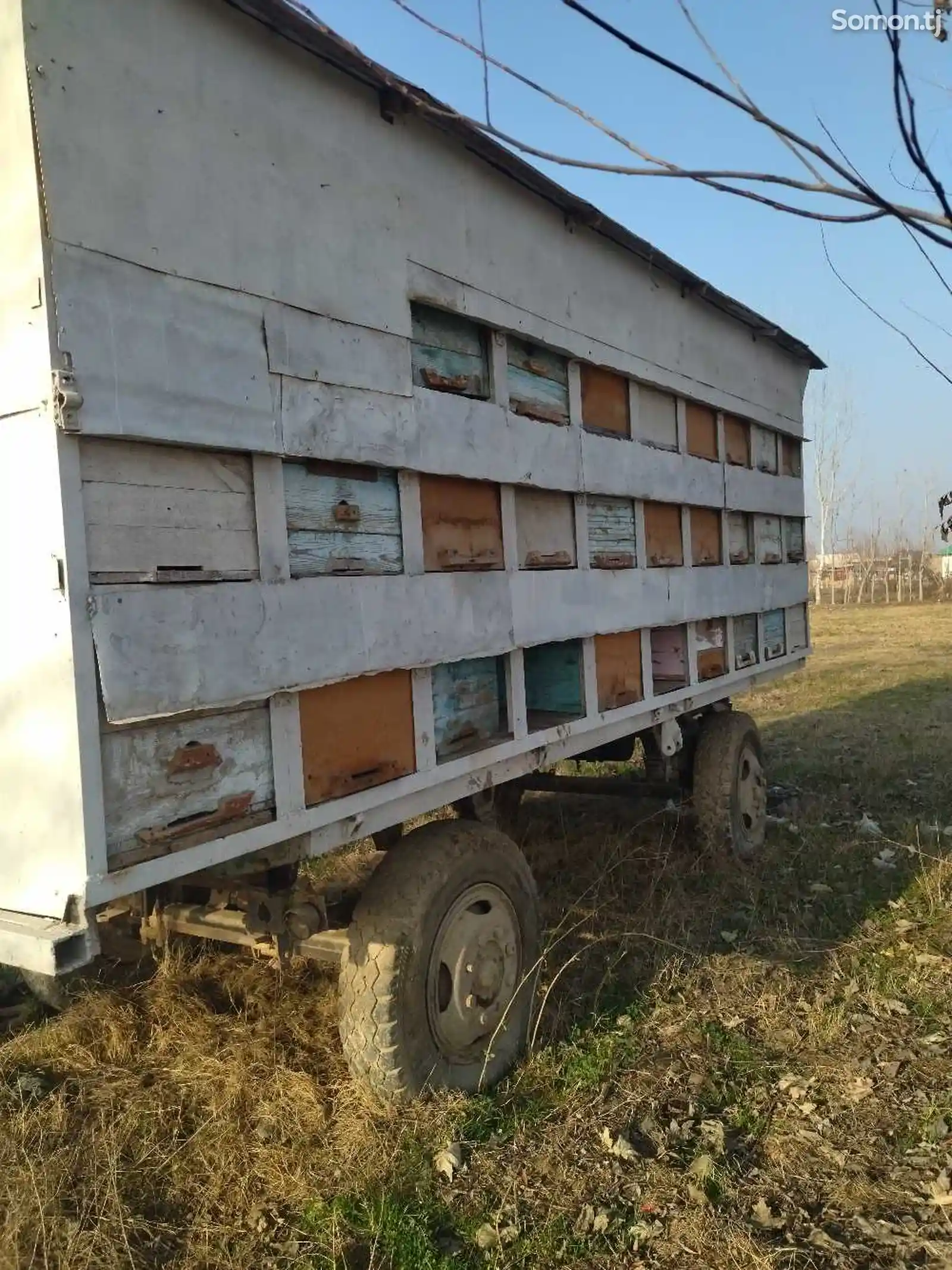 Пчеловодный вагон-3