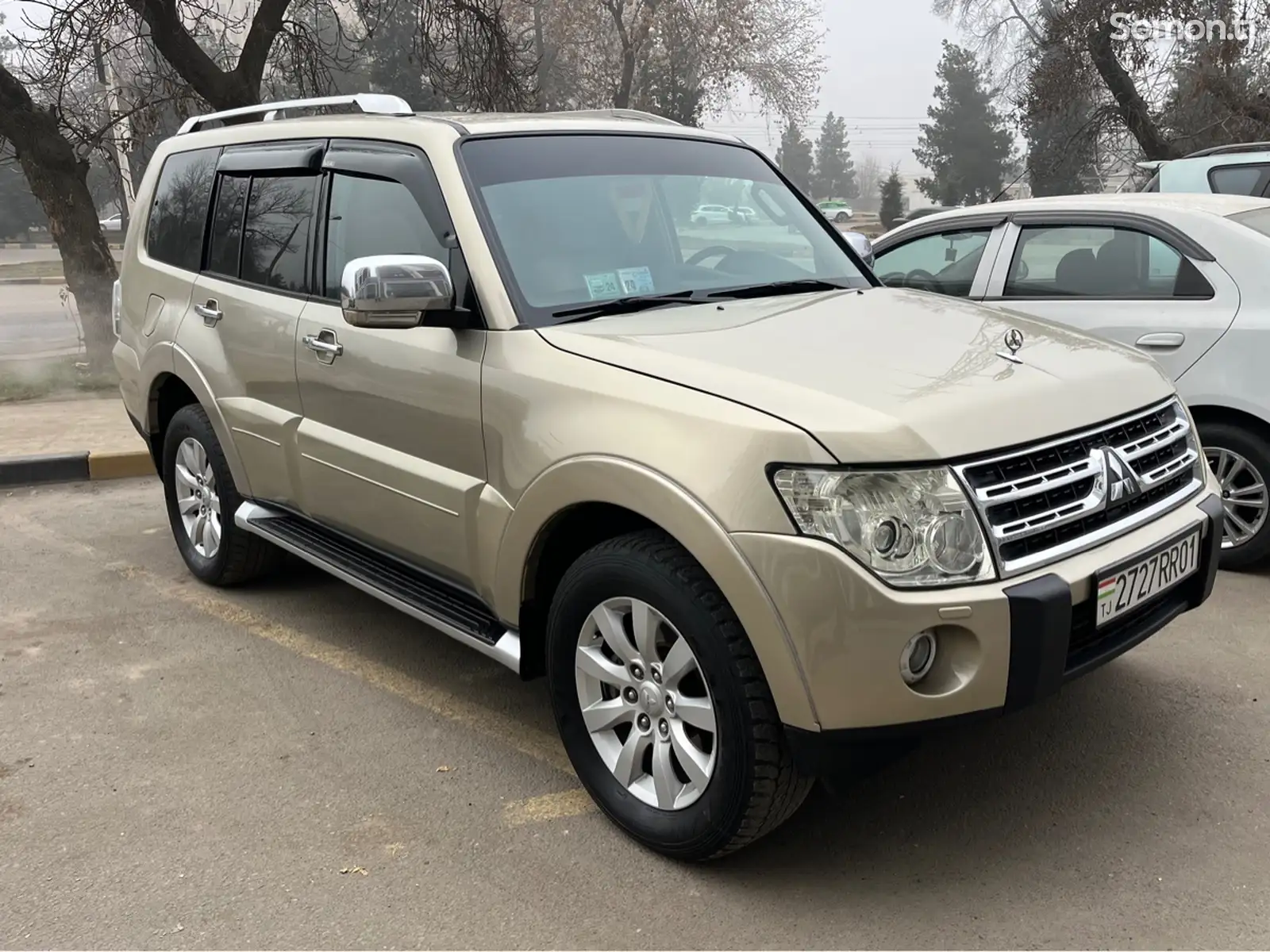 Mitsubishi Pajero, 2009-1