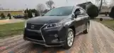 Lexus RX series, 2010-5