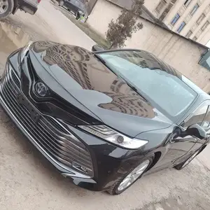 Toyota Camry, 2019