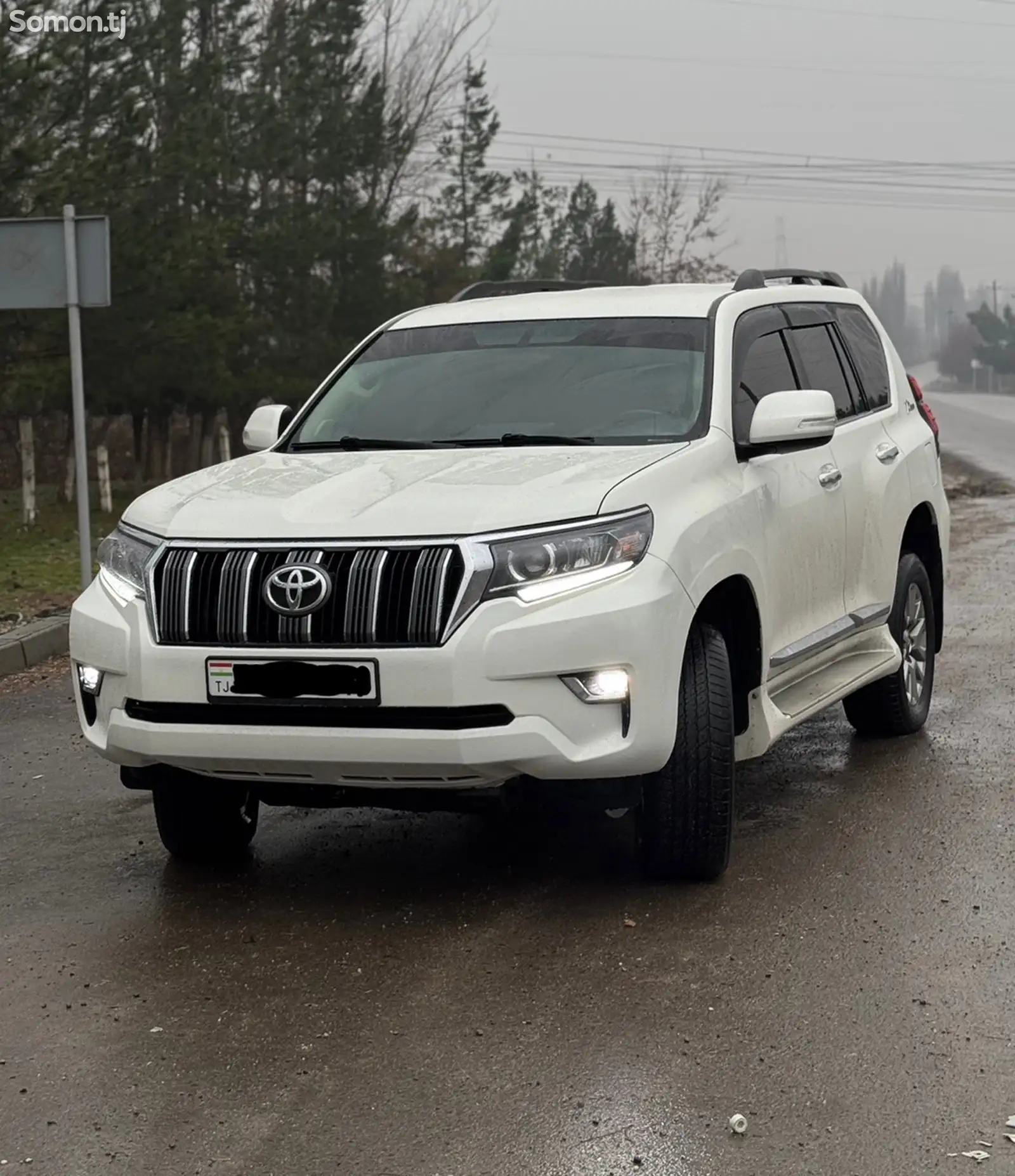 Toyota Land Cruiser Prado, 2010-1