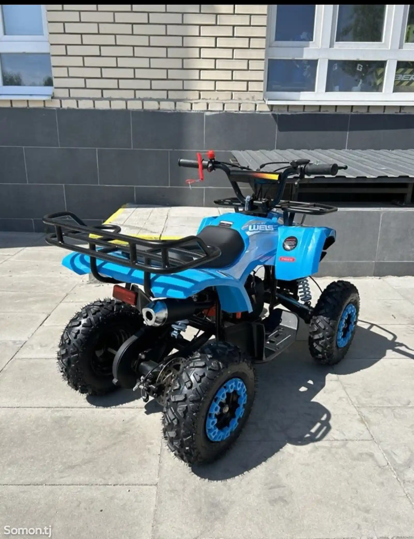 Детский квадроцикл ATV wels Thunder mini 2T под за-1