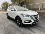 Hyundai Santa Fe, 2017-6