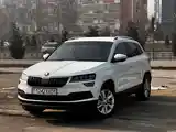 Skoda Karoq, 2020-4