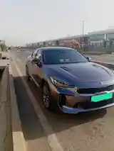 Kia Stinger, 2018-9