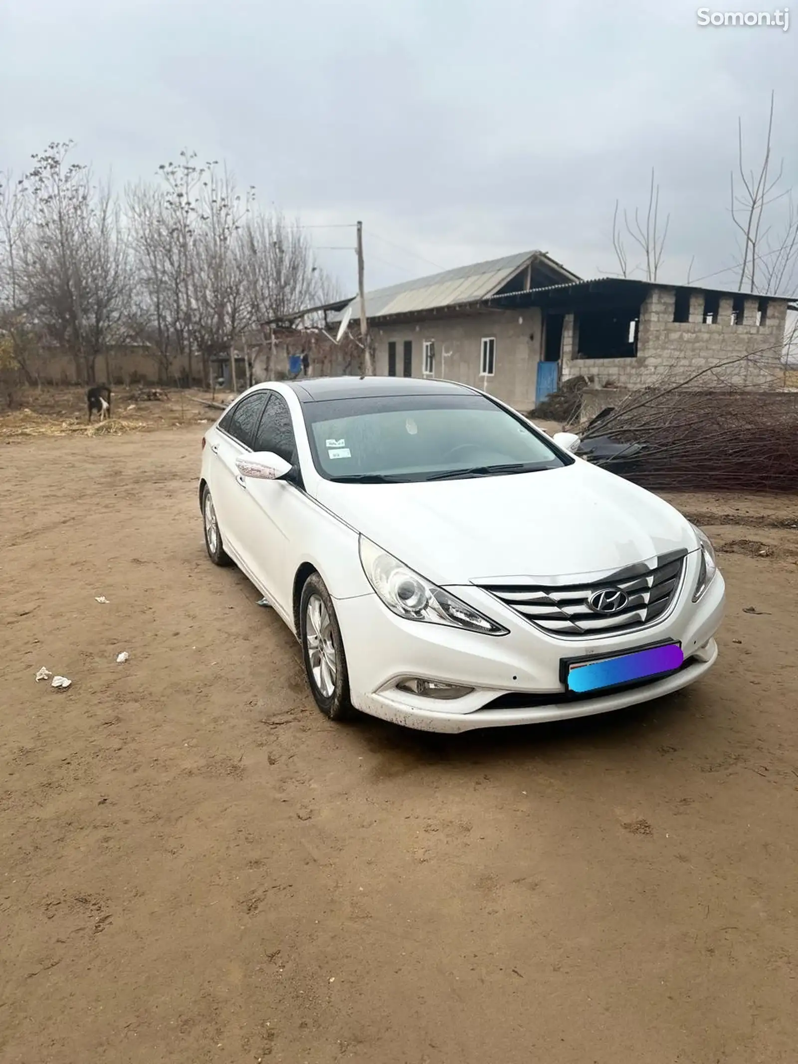 Hyundai Sonata, 2011-1