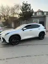 Lexus NX series, 2023-4