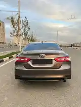 Toyota Camry, 2019-4