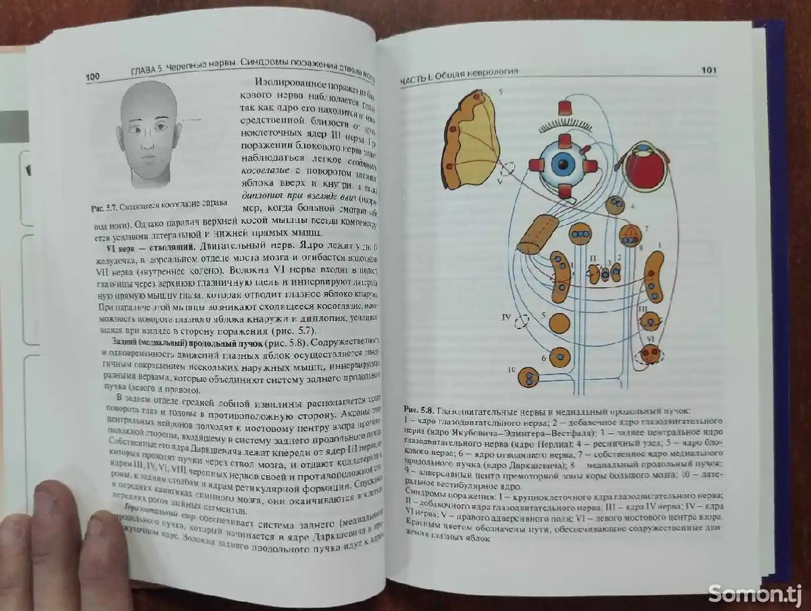 Книга Детская неврология-6