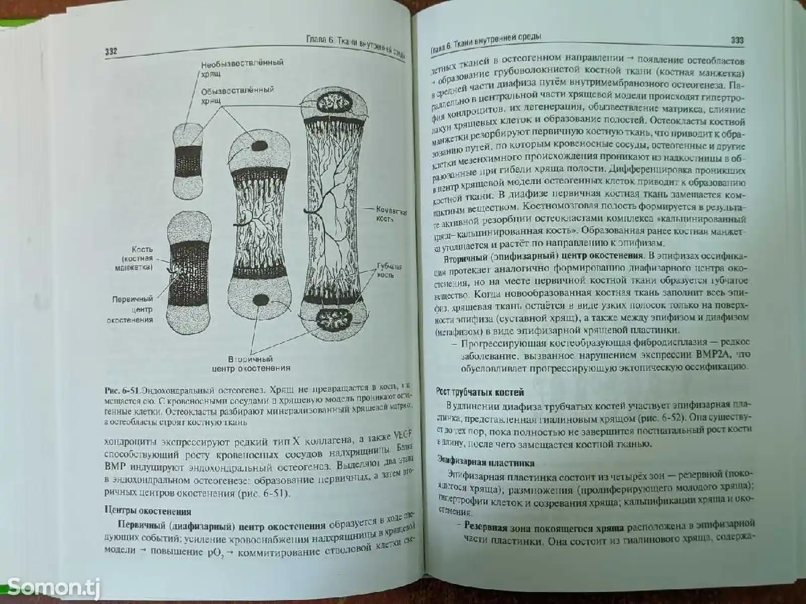 Учебник - Гистология, эмбриология, цитология-4