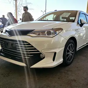 Toyota Axio, 2015