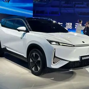 Dongfeng Landian E5, 2024