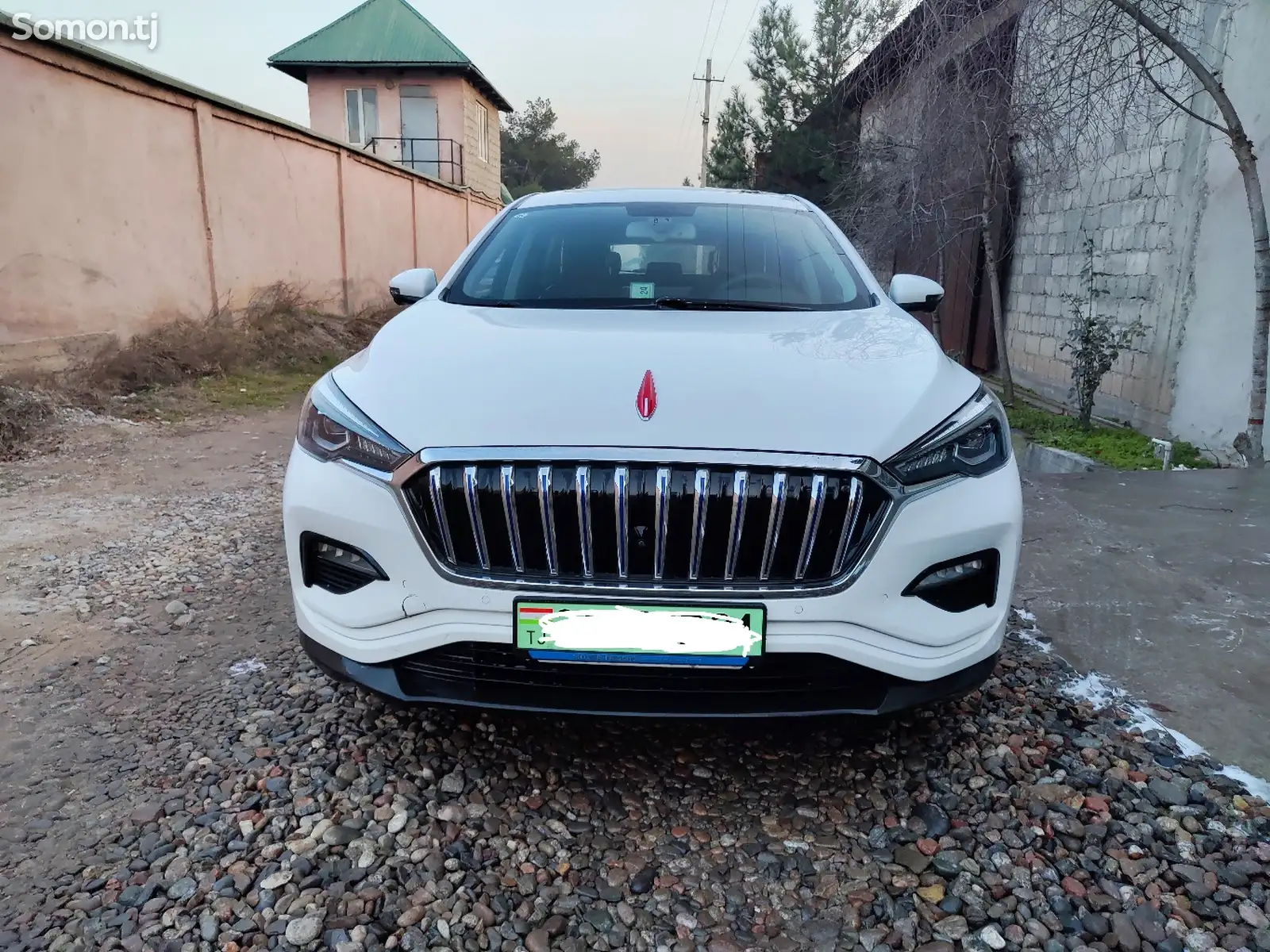 Hongqi E-HS3, 2019-1