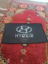 Шторка на Hyundai-2