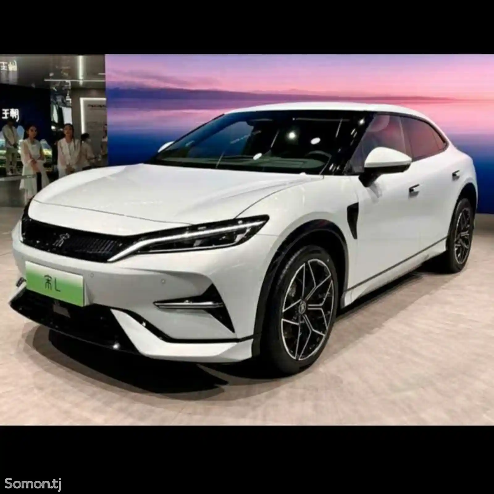 BYD Song L, 2024-3